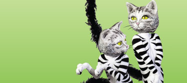 cats