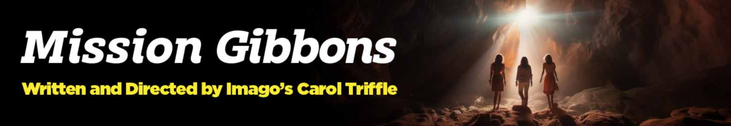 Mission Gibbons header image